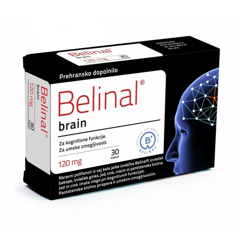  Belinal Brain, kapsule