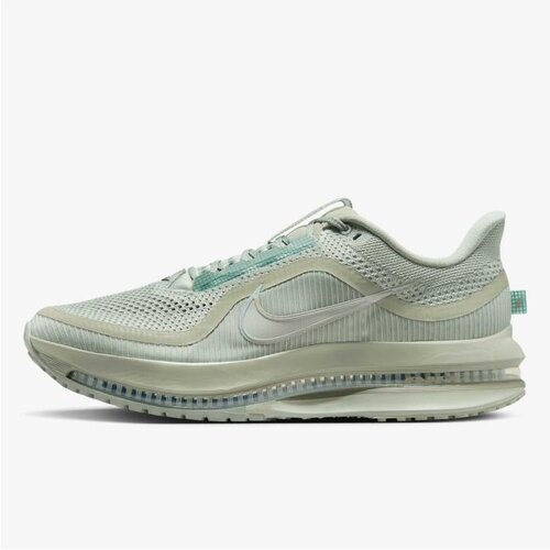 Nike pegasus premium Cene
