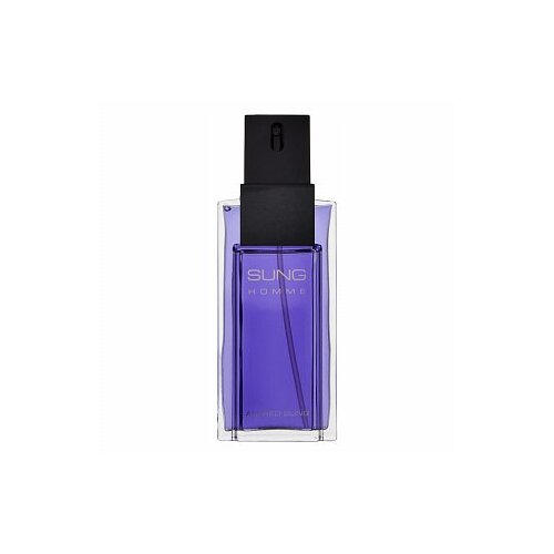 Alfred Sung Sung Homme toaletna voda 100 ml za mo&amp;scaron;ke Slike