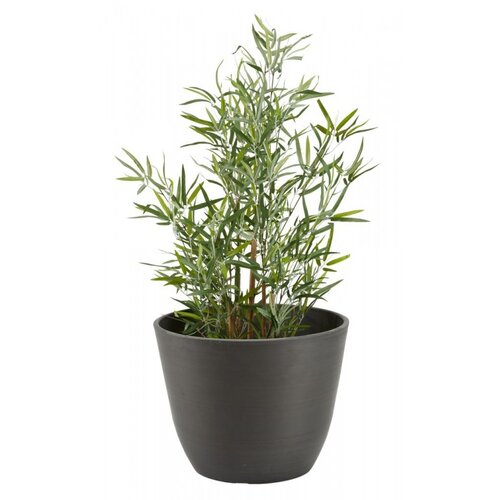 Olimp Sport Baštenska saksija Ø41xV33 siva Cene