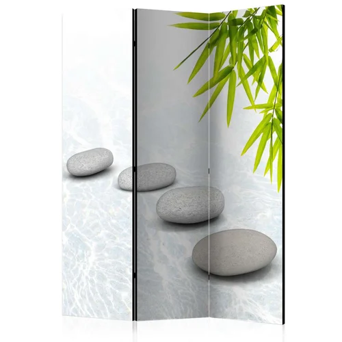  Paravan u 3 dijela - Stoic Calm [Room Dividers] 135x172