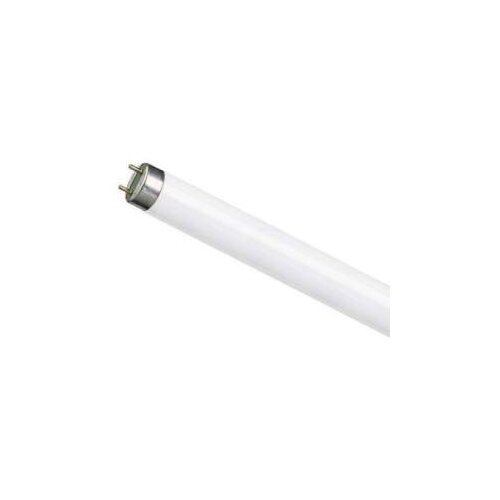 Osram FLUOCIJEV L30W-765 25X1 LF,2 959706 Cijene