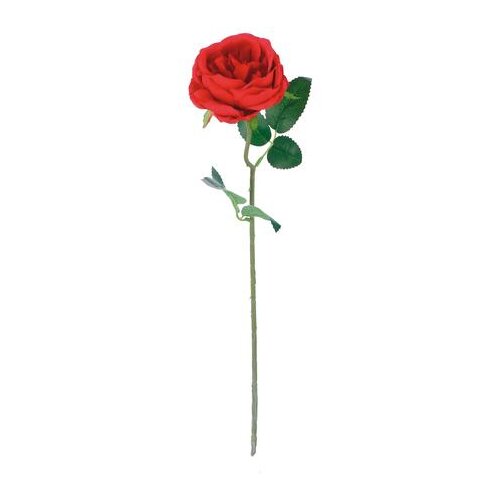 Ruža CRVENA 51CM PVC 80030 Cijene