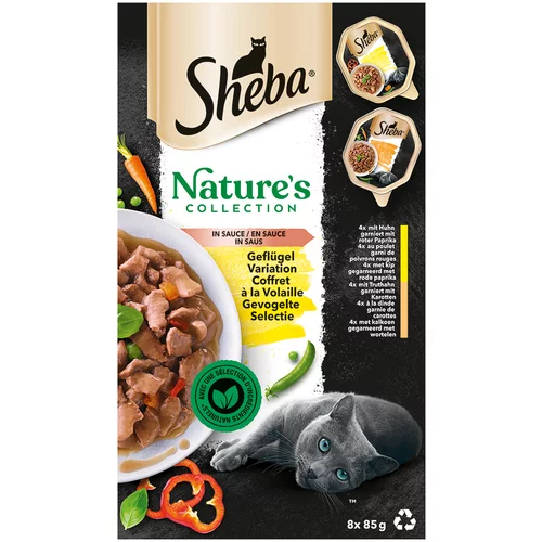 Sheba Nature's Collection in Sauce 32 x 85 g - Različica s perutnino
