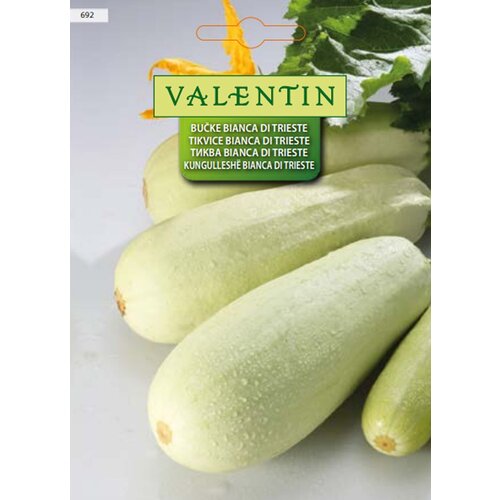 VALENTIN Sjeme povrća Tikvica Bianca di Trieste (Cucurbita pepo, Berba: Lipanj) Cijene