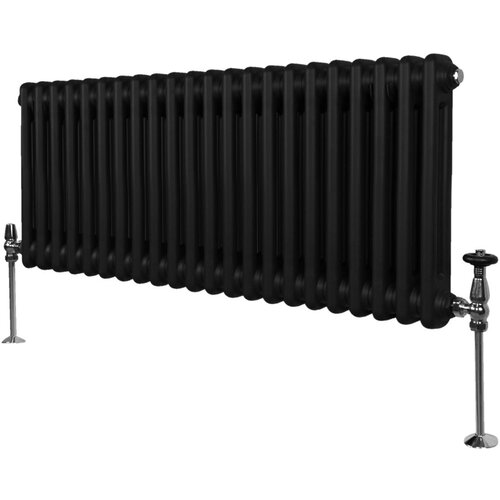 Monster Tradicionalni radiator z 2 stolpcema - 300 x 1012 mm - črn, (21569812) Cene