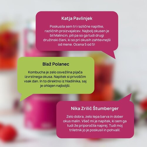 Malinca kombucha malina bio 10+2 gratis Cene