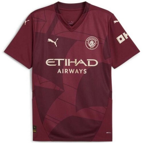  Muški Nogometni Dres Kratkih Rukava Puma Mcfc Third Jersey Replica Cijene