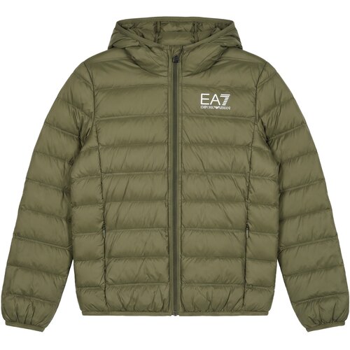 Ea7 Emporio Armani TRAIN CORE ID BOY DOWN LIGHT HOODED JACKE Kaki Cene