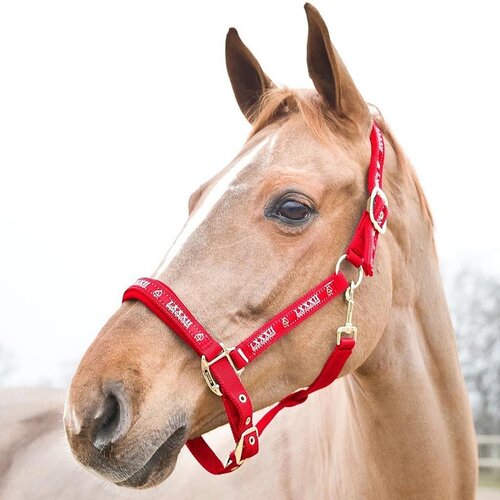 Horze Ular za konje Hamptons crveni pony Slike