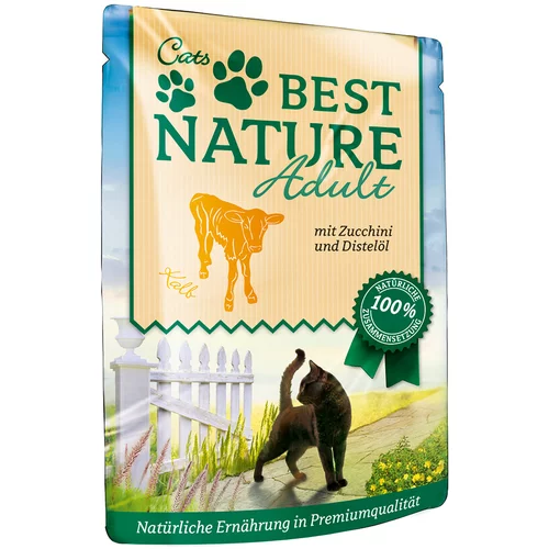 Best Nature Cat Adult 16 x 85 g - teletina z bučkami in oljem iz žafranike