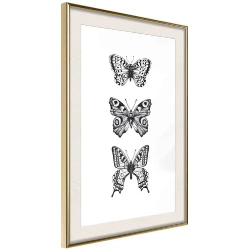  Poster - Butterfly Collection III 30x45
