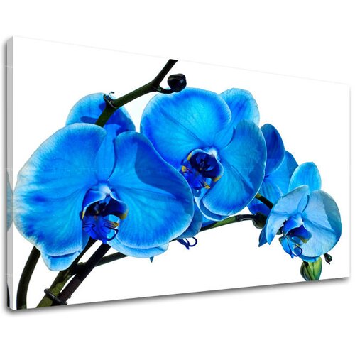  Slike na platnu cveće  (moderne slike na platnu) Cene
