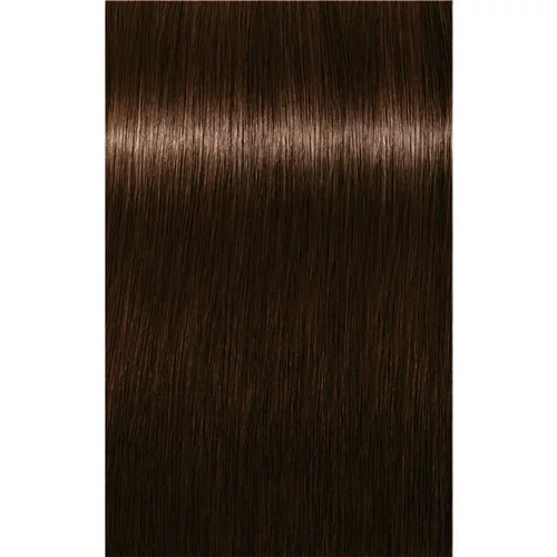 Schwarzkopf IGORA Royal Absolutes boja za kosu nijansa 4-60 Medium Brown Chocolate Natural 60 ml