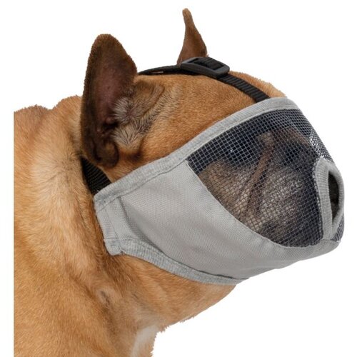  Korpa za buldoge S M siva Cene