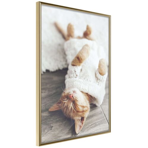 Poster - Kitten Life 30x45 Slike