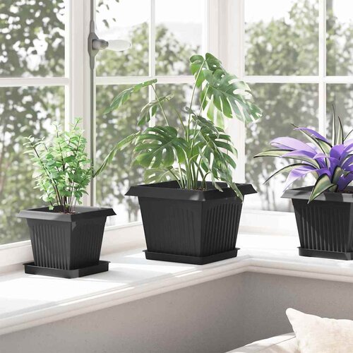  Kvadratna saksija za cvijeće 6 pcs Crna 23 x 23 x 17,5 cm Slike
