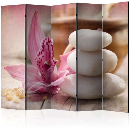  Paravan u 5 dijelova - Aromatherapy II [Room Dividers] 225x172 Cijene