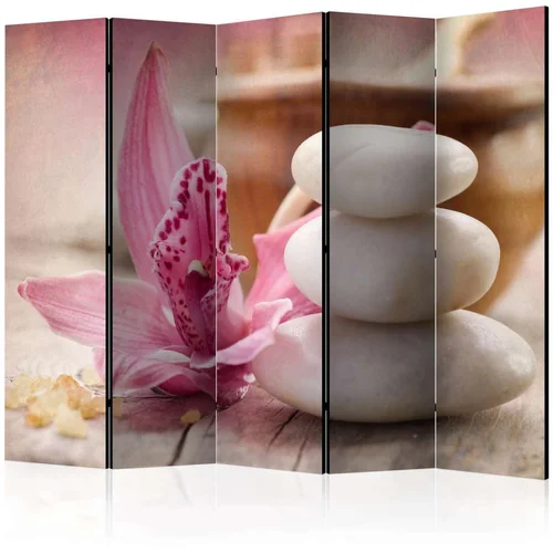  Paravan u 5 dijelova - Aromatherapy II [Room Dividers] 225x172