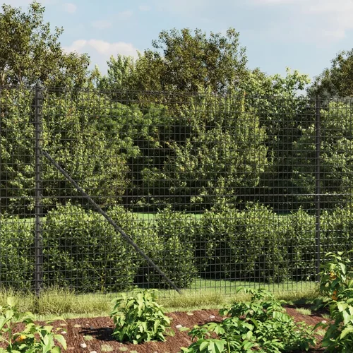 vidaXL Ograda od žičane mreže sa šiljastim držačima antracit 2 2x25 m