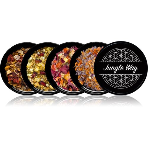 Jungle Way Discovery set Balance Your Space mirisne smole i drvca Cijene