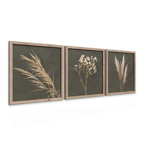 Styler Slike u setu 3 kom 30x30 cm Pampas &amp;ndash; Slike