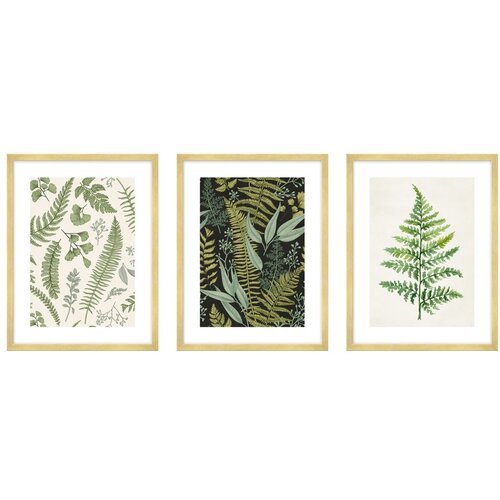 knor Plakati v kompletu 3 kos 30x40 cm Fern Cene