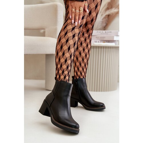 Boto Insulated Women's Heeled Boots Eco Leather Black Irittes Cene