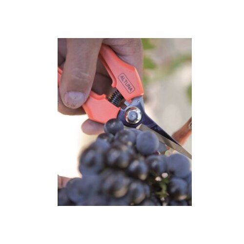 ALTUNA 1261 Makaze za branje fiber drška - pravo sečivo, 180mm Cene