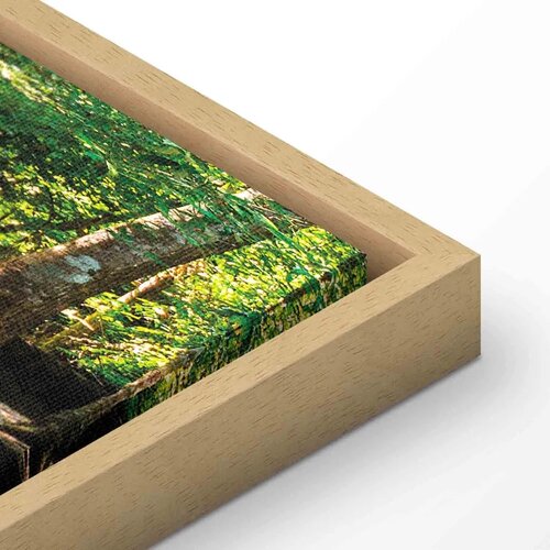  Slika - Nature: Forest Waterfall 120x40 U prirodnom drvenom okviru Cene