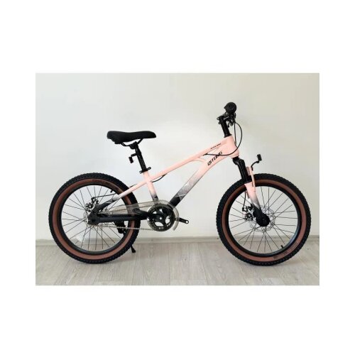 Winner Bike Bicikle BIC.20&amp;quot; QL-PINK Slike