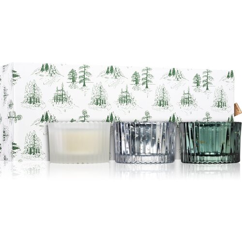Paddywax Cypress &amp;amp; Fir darilni set Slike