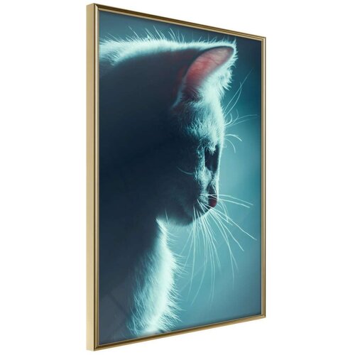  Poster - Adorable Furball 40x60 Slike