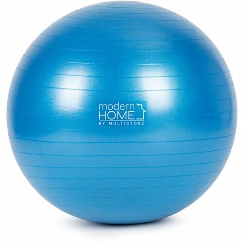 Modern Home velika lopta za fitness + pumpa MS-ABB65 Slike