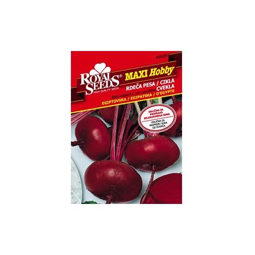  Cvekla Egipatska 11 g Royal Seeds Cijene