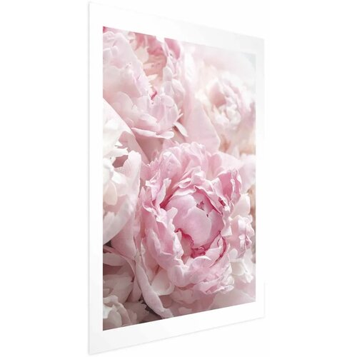  Plakat Morning Nostalgia 21x30 Cijene