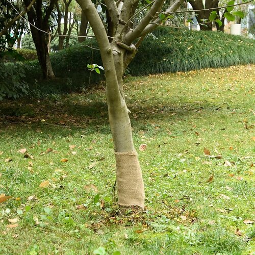  Rola jute 0,25x50 m 100 % juta 200 g/m&amp;sup2; Slike