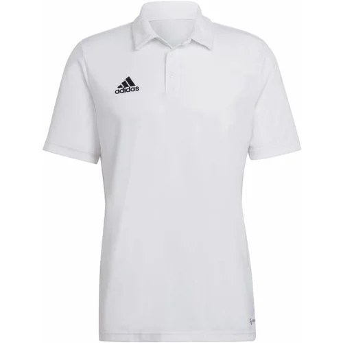 Adidas ENT22 POLO Muška polo majica, bijela, veličina