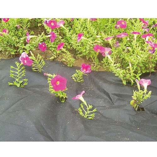 Crno Pokrivalo 3,2x5m, 50g/m2 Cijene