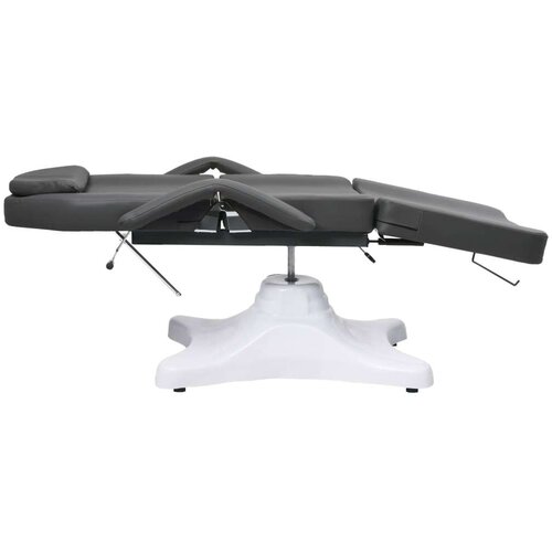VidaXL Masažna miza siva 180x62x(86,5-118) cm Slike