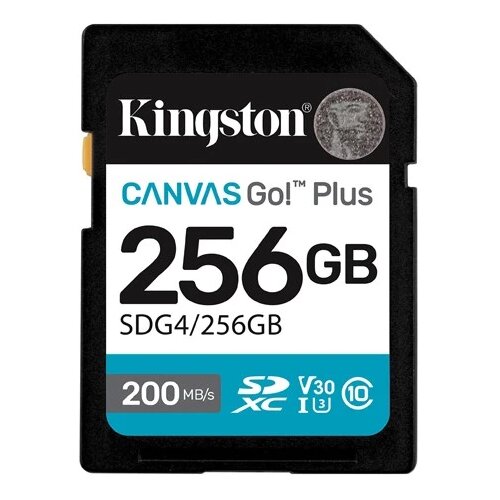Kingston SD card Kingston 256 GB SDG4/256GB SDXC,r/w:200/160MB/s, DSLRs, mirrorless cameras, 4K video Cijene