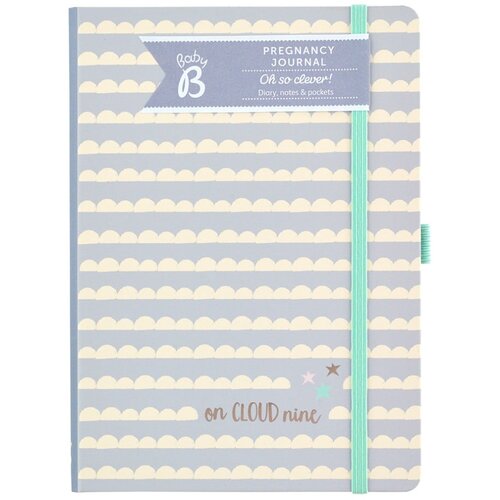 Busy B Nosečkin dnevnik Pregnancy Journal Slike