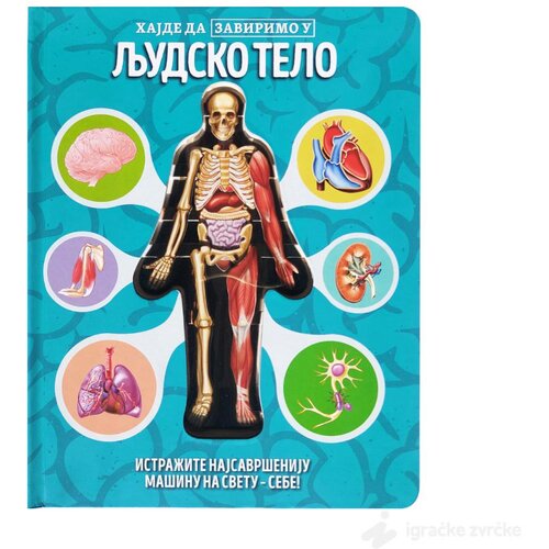 VULKAN Knjige za decu i bebe Hajde da zavirimo u LJUDSKO TELO Cene