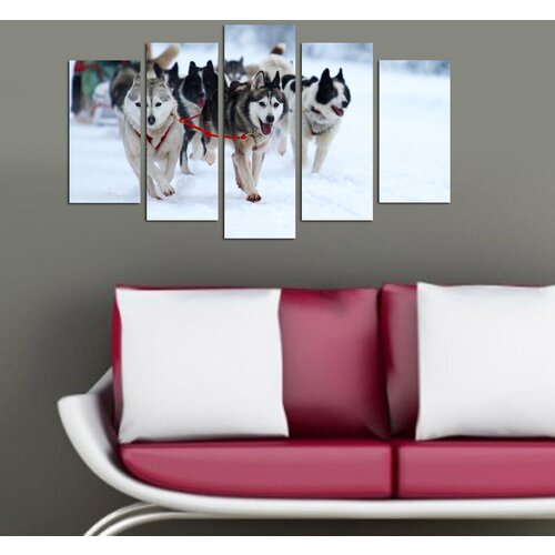 Wallity Set Slika 5M-33, 5 Delova Cene