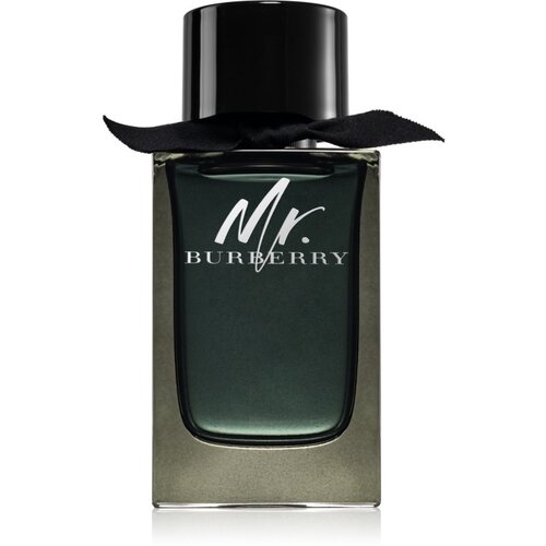 Burberry Mr. parfemska voda za muškarce 150 ml Cijene
