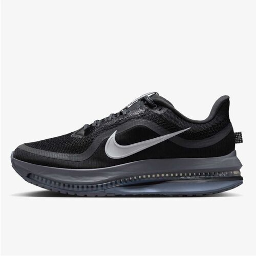 Nike pegasus premium Cene