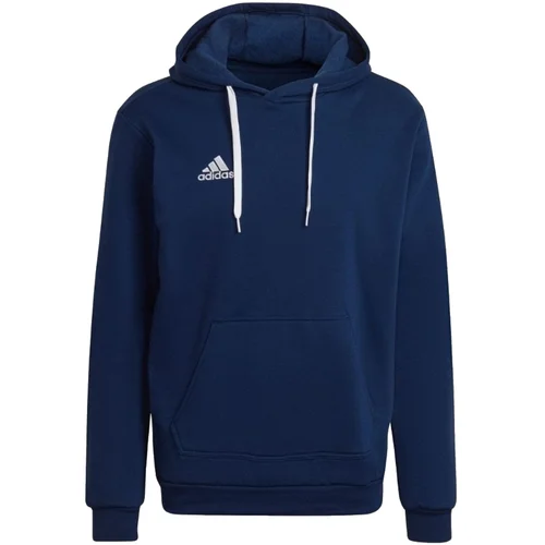 Adidas Športne jope in jakne Entrada 22 Sweat Hoodie Modra