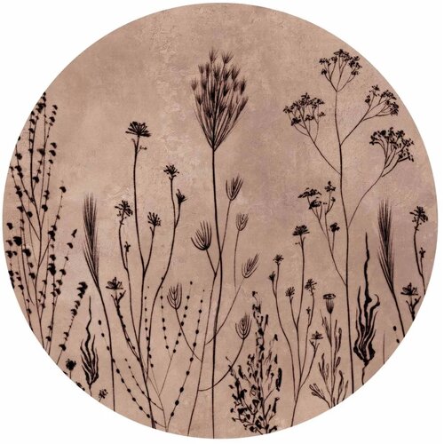  Okrugla fototapeta - Wildflowers &amp;ndash; black plants on lime-wash background 280x280 Slike