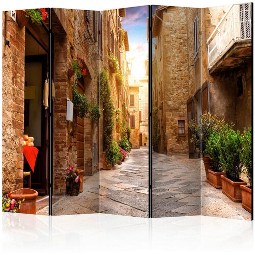 Artgeist PARAVAN 225/172/3 cm barve korale Cene