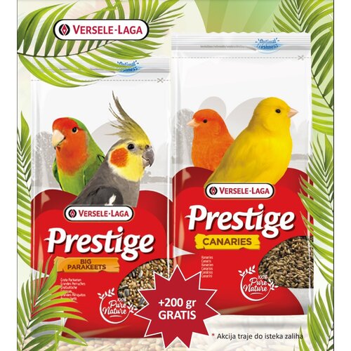 Versele-laga hrana za ptice prestige big parakeet 1kg + 200g gratis! Slike